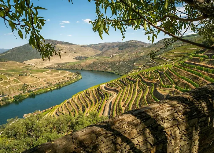 Casa Do Carril - Private Pool - Douro Valley